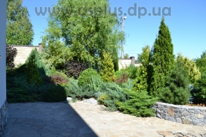 landshaft-dizain-dnepr (3)